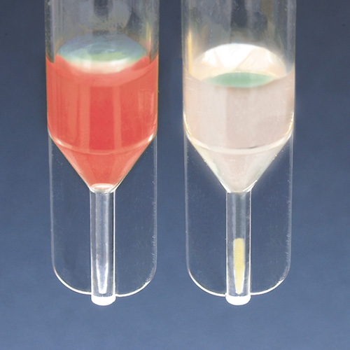 TPP PCV Packed Cell Volume Tube for measuring for cell mass