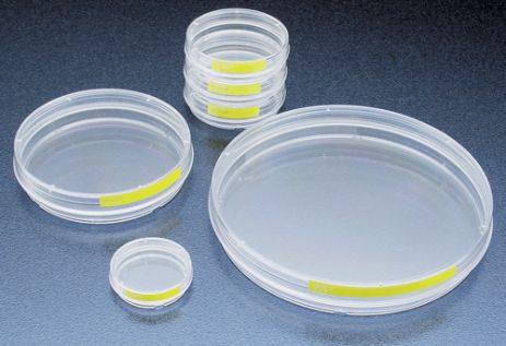 The Crystal Clear Clarity Enables A Visual Control Of The Cells In Stacked Dishes Using Transmitted Light This Is The Basis For The Do Entation With The Crystal Clear Clarity Enables A Visual Control Of The Cells In Stacked Dishes Using Transmitted Light This Is The Basis For The Do Entation With