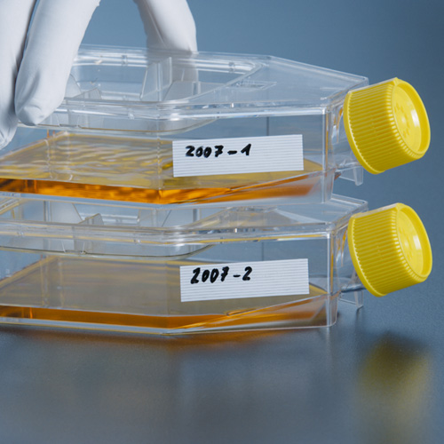 Tflask with reclosable lid